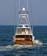 img/SB8hi-res/Shark Byte-4.jpg